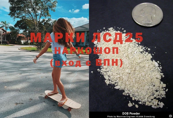 ГАЛЛЮЦИНОГЕННЫЕ ГРИБЫ Осинники