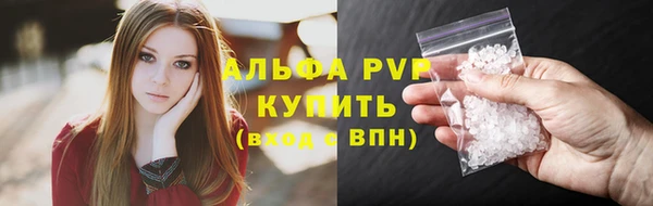ГАЛЛЮЦИНОГЕННЫЕ ГРИБЫ Осинники