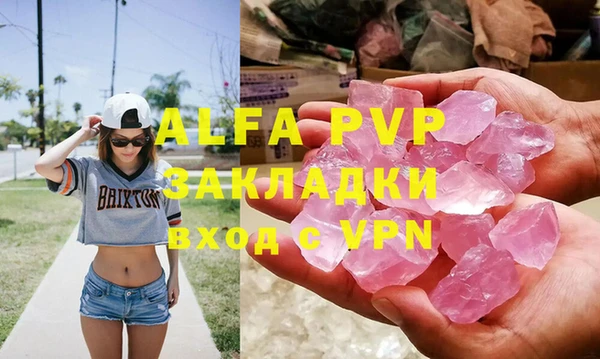 ГАЛЛЮЦИНОГЕННЫЕ ГРИБЫ Осинники