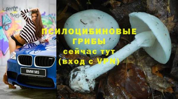 ALPHA-PVP Осташков