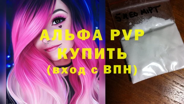 ГАЛЛЮЦИНОГЕННЫЕ ГРИБЫ Осинники