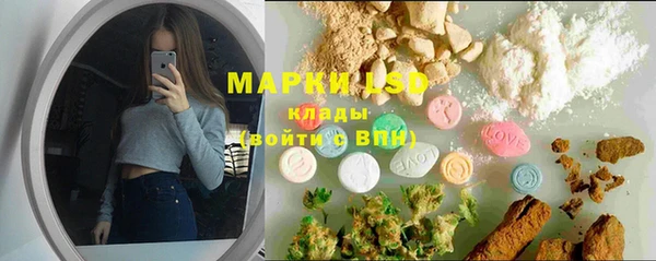 ГАЛЛЮЦИНОГЕННЫЕ ГРИБЫ Осинники