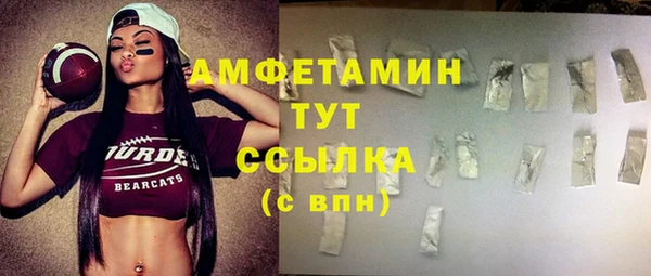 ГАЛЛЮЦИНОГЕННЫЕ ГРИБЫ Осинники