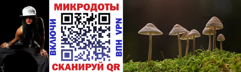 Псилоцибиновые грибы GOLDEN TEACHER  Струнино 